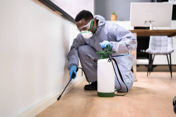 Professional Pest Control in Fairfax, SC